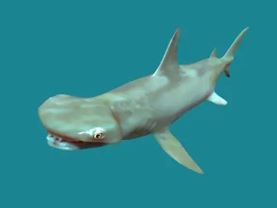 sea creature collection 3D model