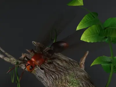 flying ant insect gameready bug wild kritrim 3D model