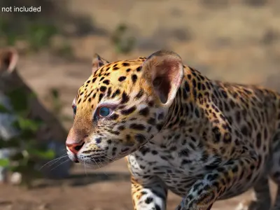 Leopard Cub Sneaking Pose 3D model