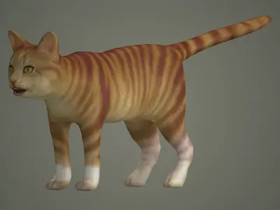 cats siamese tabby orange kitty animals puppy cat mammal  3D model