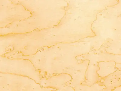 EKO guitar Free 3D model