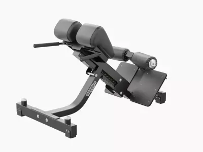 Technogym Lower Back Bench Pure 3D model
