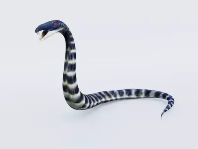 Snake Free 3D model 4