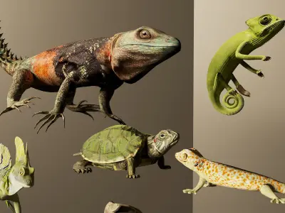 Reptile collection Free 3D model