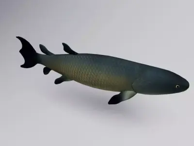Eusthenopteron Fish Low-poly 3D model