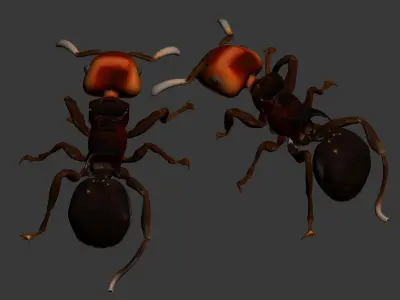 Black ant 3D model