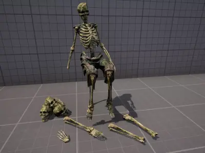 Mossy Skulls VOL 1 Low-poly 3D model