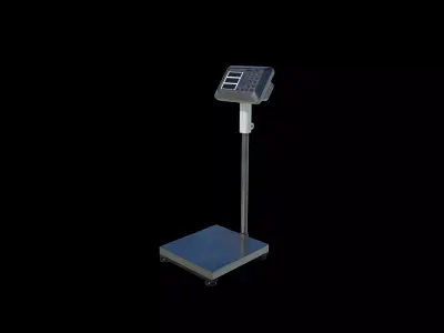 Digital Platform Scale 3D model