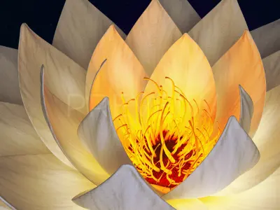 White Lotus- Water Lily 3d Animated 3D model
