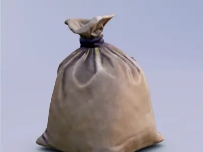 3D Bag Money 3D model