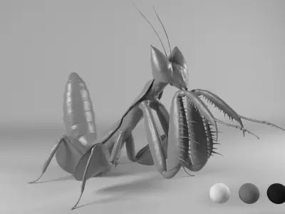Mantis praying 3D model buy