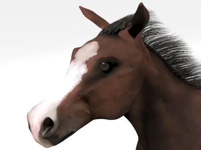 Western Wagon 3D model