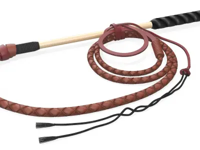 Leather Whip Braided Brown Rigged 3D model