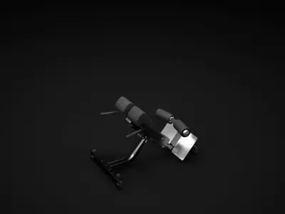 Low Back 3D model