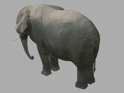Elephant OBJ Low-poly 3D model