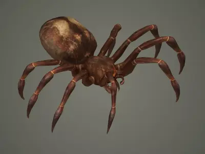 spider arachnid scary insect tarantula creepy animal  3D model