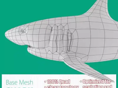 Shark Base Mesh Low-poly 3D model