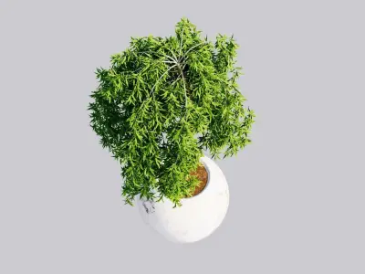 Gorgo Vase Design 3Dmodel Free 3D model