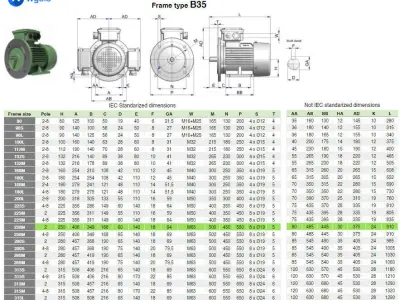 250M B35 Left 2 Pole IEC electric motor - 3D CAD model 3D model
