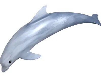 Dolphin Low-poly 3D model shop