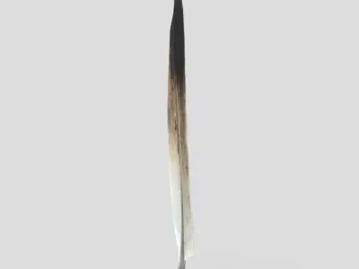 Feather Low-poly 3D model purchase