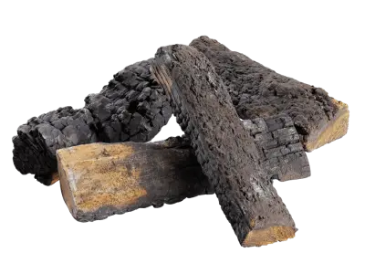  Partly Burned Split Firewood Models Collection 
