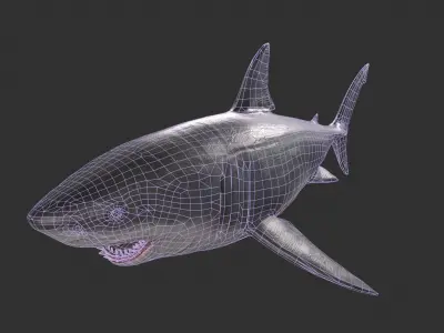 Great White Shark Low-poly 3D model 3