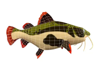 Red Tail Cat Fish Cartoon Animated Low-poly 3D model