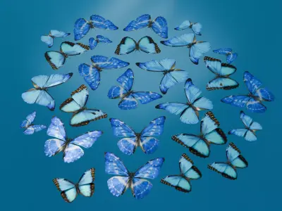 butterfly Low-poly 3D model 3