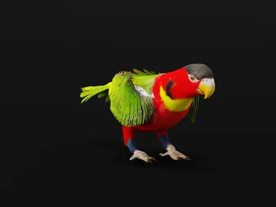 Yellow Bibbed Lory Parrot Bird Low-poly 3D model