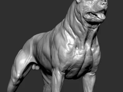 Rottweiler Dog VFX Zbrush Sculpt 3D model
