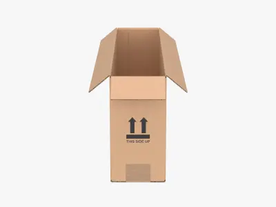 Cardboard Box 50x10x20 Open 3D model