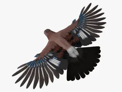 Garrulus Glandarius 'Eurasian Jay' 3D model