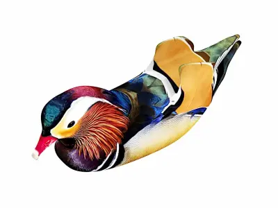 floating duck Low-poly 3D model