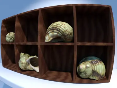 Green Seashell High Quality Scan 4K PBR Textures Free 3D model purchase