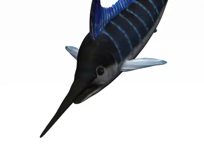 Merlin swordfish Low-poly 3D model