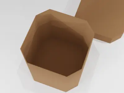 Cardboard Box 3D model