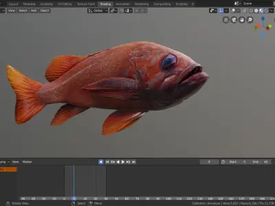 Red Fish 3D model
