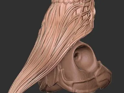 Crysania Mythic Legions Head 3D print model