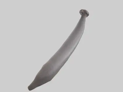 Hippopotamus Tail Low-poly 3D model