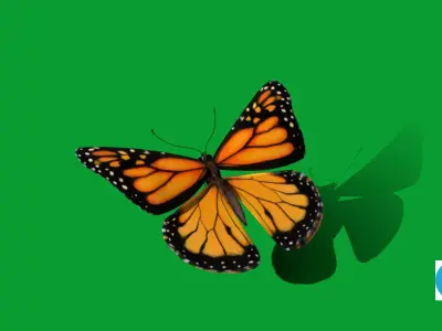 Monarch Butterfly Insect Low-poly 3D model