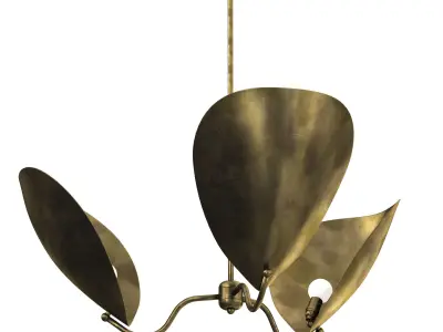 Chiton 3 Chandelier 3D model