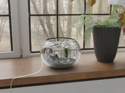 Fish Bowl Free low-poly 3D model