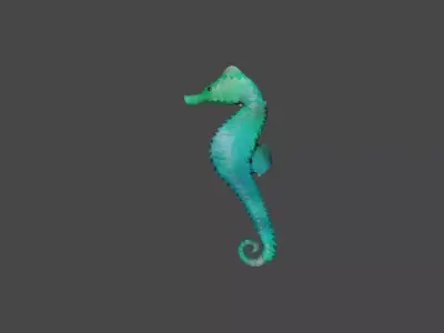SEA HORSE  Low-poly 3D model