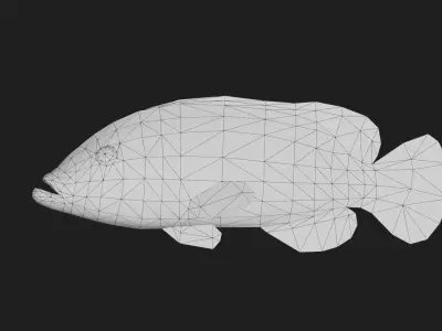 Fish Grouper Low-poly 3D model purchase