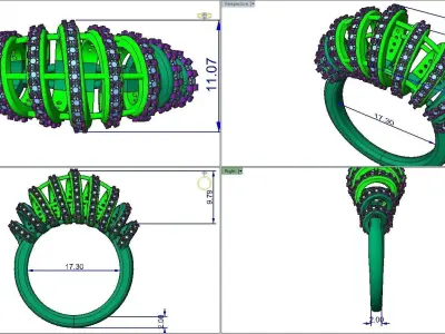 Spring Ring01 3D print model