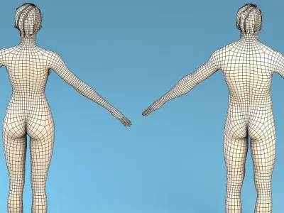 Base Character Male or female 3D model
