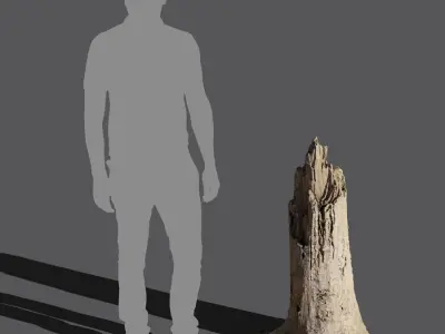  Medium Broken Splintered Bare Stump Model 