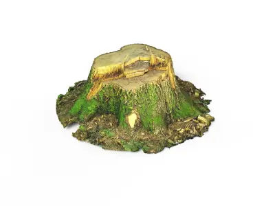 Forest Tree Stump 4K -Part 3-  Free low-poly 3D model