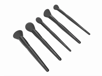 Face Brush Collection 5 Piece 3D model